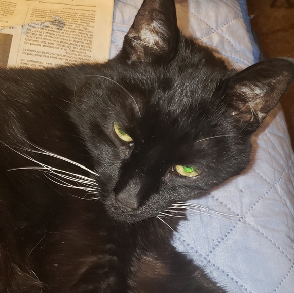 Meet your Posher, Ellen - Picture 1 of 5